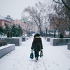 Снег и елочки в районе набережной напоминают, что скоро - Новый год — newsvl.ru