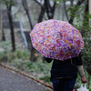 ... Другие еще не спешат убирать зонты — newsvl.ru