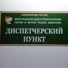 Тигра доставили в реабилитационный центр в селе Алексеевка Надеждинского района  — newsvl.ru