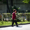В последние теплые деньки горожане стремятся на прогулку в парки — newsvl.ru