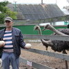 В зоопарке «Садгород» в пригороде Владивостока самки черного африканского страуса снесли три яйца за два дня — newsvl.ru