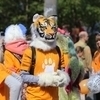 Несмотря на солнечный день, защитники тигров около часа шагали в утепленных масках — newsvl.ru