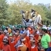 Больше тысячи человек собрались на традиционное шествие ко Дню тигра — newsvl.ru