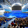 Дельфинарий с большим залом — newsvl.ru