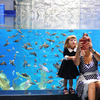 Детки особо рады открытию нового океанариума — newsvl.ru