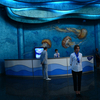 Долгожданное открытие морского музея на Русском острове началось в 10.00  — newsvl.ru