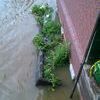 В самый пик подтопления уровень воды поднялся до окон первого этажа — newsvl.ru