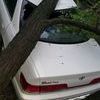 Автомобиль получил серьезные повреждения — newsvl.ru