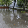 Подтопленная парковка у офисного здания на Фонтанной — newsvl.ru