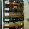 Музей ДВФУ является самым большим археологическим музеем в Приморском крае — newsvl.ru