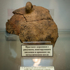 Археология является довольно молодой наукой в России — newsvl.ru