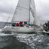 На финише одной из гонок столкнулись сразу четыре яхты — newsvl.ru