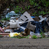 Вдоль дорог - мусор и отходы — newsvl.ru