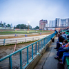 Следующая встреча «Востока» и «Мега-Лады» состоится уже завтра, 14 июля, на треке стадиона «Авангард». Это будет последняя домашняя командная гонка в этом чемпионате — newsvl.ru