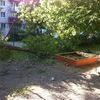 Старый тополь упал на песочницу — newsvl.ru
