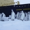 Зимой "Капитан Хлебников" выполняет туристические рейсы в Антарктиду — newsvl.ru