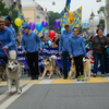 Собаководы шествовали перед краевыми профсоюзами — newsvl.ru