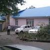 Утром в четверг, 30 июня, в районе дома по Светланской, 131б на припаркованные автомобили упало дерево  — newsvl.ru