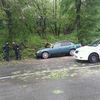 Водитель авто вызвал полицейских — newsvl.ru