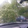 Дерево упало на Военном шоссе на припаркованный автомобиль — newsvl.ru