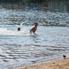 Самые отважные жители и гости города уже решили открыть купальный сезон — newsvl.ru