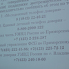 Телефоны, по которым можно звонить, если вы столкнулись с экстремистскими организациями — newsvl.ru