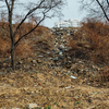Косогор в районе проспекта Красоты завален кучей мусора — newsvl.ru