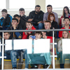 Немалая часть заключительных встреч среди взрослых для публики завершилась довольно неожиданно — newsvl.ru