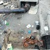 Жители улицы Вилкова, 10 нашли отрезанную коровью голову  — newsvl.ru