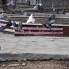 Краска на мраморном ограждении вокруг клумбы с изображением георгиевской ленты выцвела — newsvl.ru