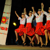 Народные украинские танцы показали зрителям — newsvl.ru