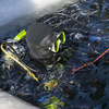 Передвигаться под водой непросто - света мало и мешают водоросли — newsvl.ru