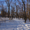 В парке Мингородка произрастает свыше 11 000 деревьев и кустарнико — newsvl.ru
