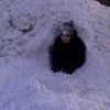 Номинация "Снежная пещера" — newsvl.ru