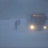 По данным городской администрации на маршруты вышло около 500 городских автобусов — newsvl.ru
