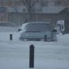 Госавтоинспекция просит автомобилистов воздержаться от поездок без крайней необходимости — newsvl.ru