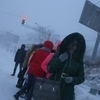 Шарфы, шапки, капюшоны - в ход идет все, чтобы спрятаться от пронизывающего ветра — newsvl.ru