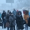 Ждать автобуса в команде единомышленников немного веселее — newsvl.ru