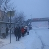 Очередь на маршрутку на Нейбута — newsvl.ru