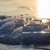 Периодически лед на Спортивной гавани из-за потепления разламывается — newsvl.ru