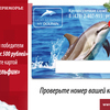 Определены 200 победителей в акции «Бонус 500 рублей» при оплате картой «Мой дельфин»  — newsvl.ru