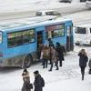 Многие горожане этим утром предпочли добираться по делам на общественном транспорте — newsvl.ru