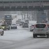 Ранним утром во Владивостоке пошел снег — newsvl.ru