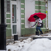 Многие горожане сегодня вышли на улицу с зонтами — newsvl.ru