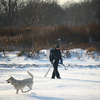 Открытие сезона зимней рыбалки в районе Канала — newsvl.ru