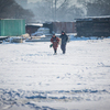 Любители зимней рыбалки открыли очередной сезон еще осенью – в ноябре — newsvl.ru