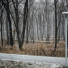 Заснеженная парковая зона кампуса ДВФУ — newsvl.ru