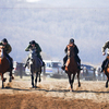 В соревнованиях были представлены конноспортивный клуб «Владконтур» (Владивосток), общественная организация федерации джигитовки и конного спорта «Казачий эскадрон», а также частные коневладельцы — newsvl.ru