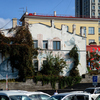Во Владивостоке до сих пор нет памятника китобоям, а вот китов — хоть отбавляй — newsvl.ru