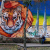 Тигр работы американского художника Эндрю Гайи — newsvl.ru